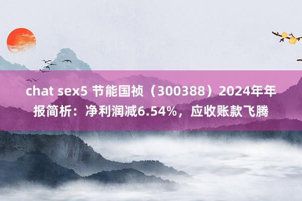 chat sex5 节能国祯（300388）2024年年报简