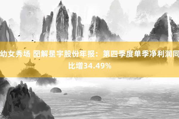 幼女秀场 图解星宇股份年报：第四季度单季净利润同比增34.4