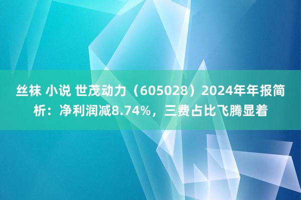 丝袜 小说 世茂动力（605028）2024年年报简析：净利润减8.74%，三费占比飞腾显着