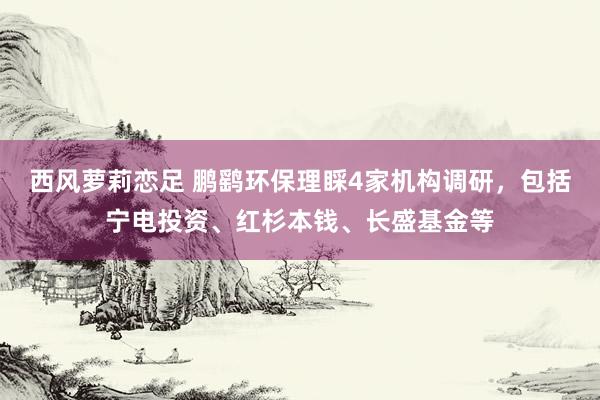 西风萝莉恋足 鹏鹞环保理睬4家机构调研，包括宁电投资、红杉本