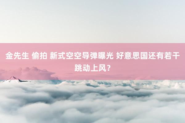 金先生 偷拍 新式空空导弹曝光 好意思国还有若干跳动上风？