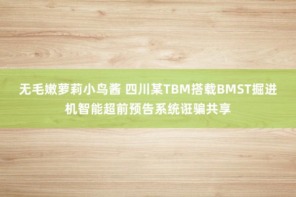 无毛嫩萝莉小鸟酱 四川某TBM搭载BMST掘进机智能超前预告系统诳骗共享