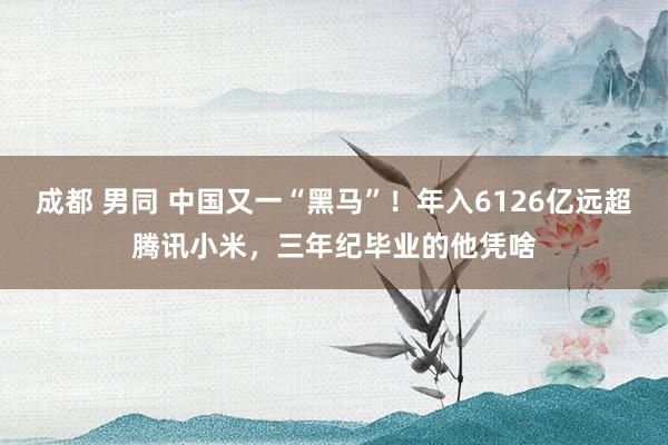 成都 男同 中国又一“黑马”！年入6126亿远超腾讯小米，三