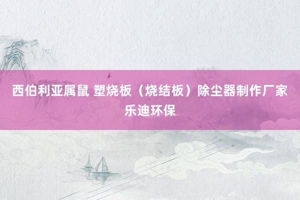西伯利亚属鼠 塑烧板（烧结板）除尘器制作厂家乐迪环保