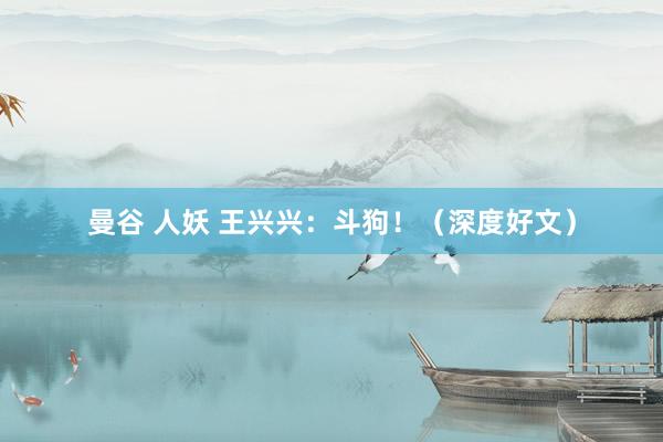 曼谷 人妖 王兴兴：斗狗！（深度好文）