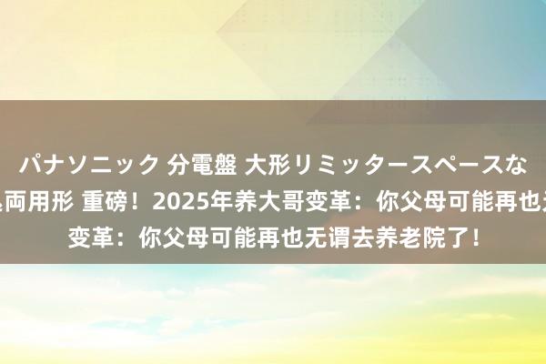 パナソニック 分電盤 大形リミッタースペースなし 露出・半埋込両用形 重磅！2025年养大哥变革：你父母可能再也无谓去养老院了！