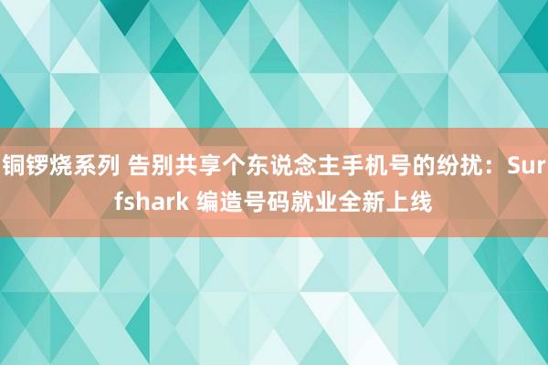 铜锣烧系列 告别共享个东说念主手机号的纷扰：Surfshar