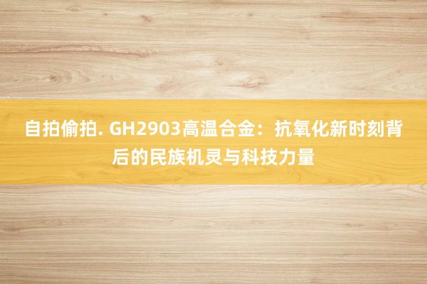 自拍偷拍. GH2903高温合金：抗氧化新时刻背后的民族机灵