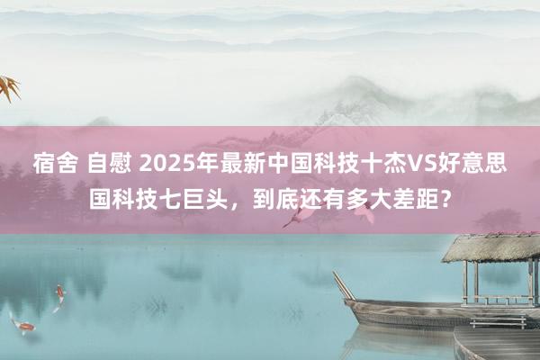 宿舍 自慰 2025年最新中国科技十杰VS好意思国科技七巨头