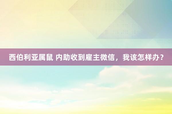 西伯利亚属鼠 内助收到雇主微信，我该怎样办？