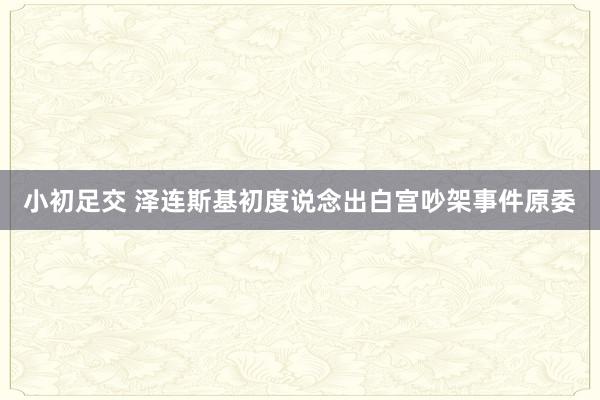 小初足交 泽连斯基初度说念出白宫吵架事件原委