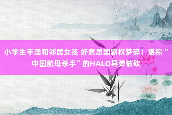 小学生手淫和邻居女孩 好意思国霸权梦碎！堪称“中国航母杀手”的HALO导弹被砍