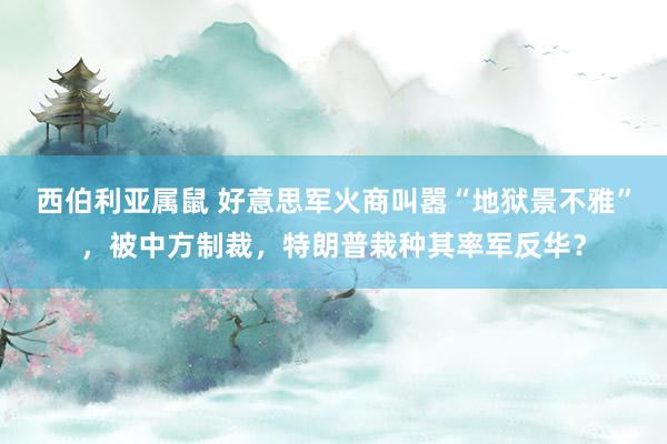 西伯利亚属鼠 好意思军火商叫嚣“地狱景不雅”，被中方制裁，特
