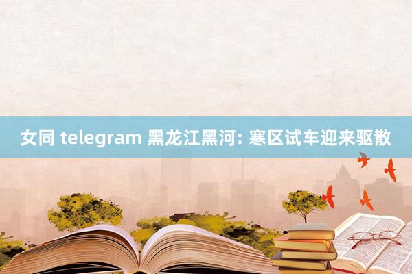 女同 telegram 黑龙江黑河: 寒区试车迎来驱散
