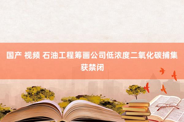国产 视频 石油工程筹画公司低浓度二氧化碳捕集获禁闭