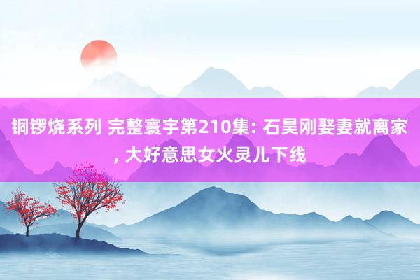 铜锣烧系列 完整寰宇第210集: 石昊刚娶妻就离家, 大好意思女火灵儿下线