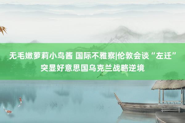 无毛嫩萝莉小鸟酱 国际不雅察|伦敦会谈“左迁”突显好意思国乌