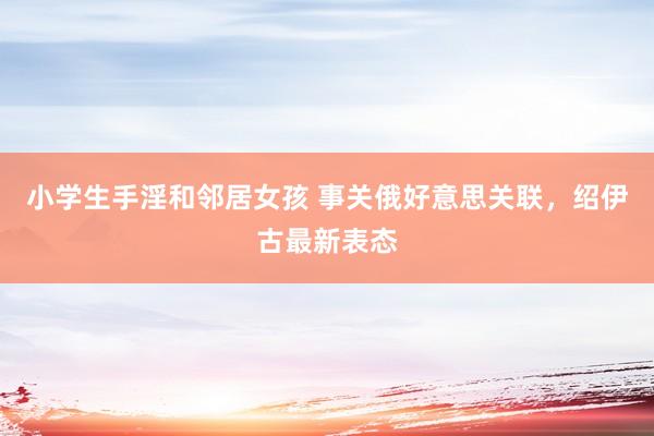 小学生手淫和邻居女孩 事关俄好意思关联，绍伊古最新表态
