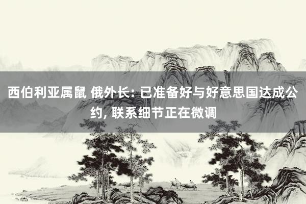 西伯利亚属鼠 俄外长: 已准备好与好意思国达成公约, 联系细