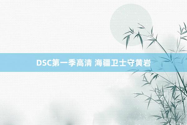 DSC第一季高清 海疆卫士守黄岩