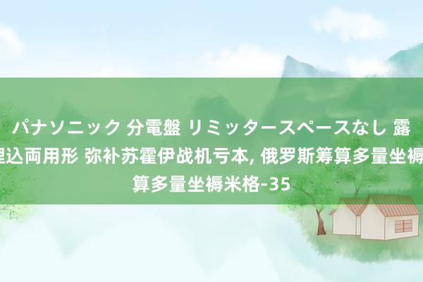 パナソニック 分電盤 リミッタースペースなし 露出・半埋込両用形 弥补苏霍伊战机亏本, 俄罗斯筹算多量坐褥米格-35