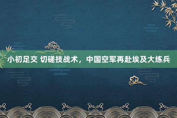 小初足交 切磋技战术，中国空军再赴埃及大练兵