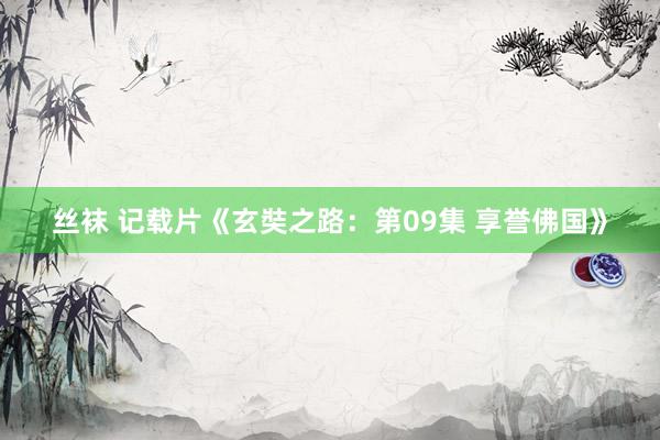 丝袜 记载片《玄奘之路：第09集 享誉佛国》