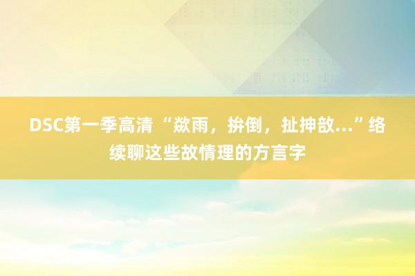 DSC第一季高清 “歘雨，拚倒，扯抻敨...”络续聊这些故情理的方言字