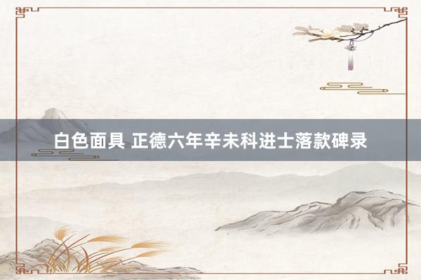 白色面具 正德六年辛未科进士落款碑录