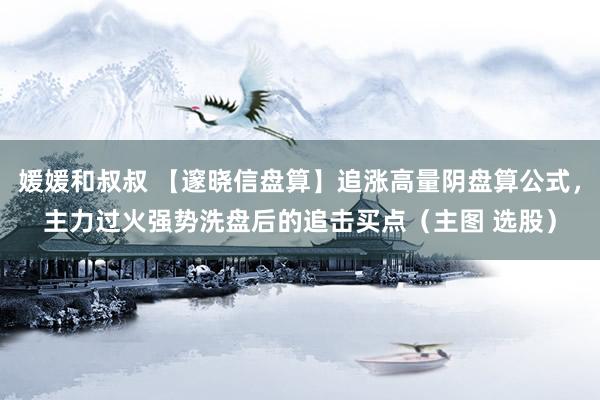 媛媛和叔叔 【邃晓信盘算】追涨高量阴盘算公式，主力过火强势洗盘后的追击买点（主图 选股）