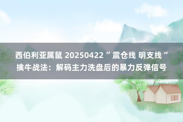 西伯利亚属鼠 20250422 ”震仓线 明支线“擒牛战法：