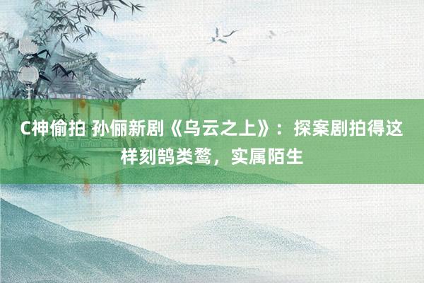 C神偷拍 孙俪新剧《乌云之上》：探案剧拍得这样刻鹄类鹜，实属