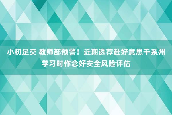 小初足交 教师部预警！近期遴荐赴好意思干系州学习时作念好安全风险评估