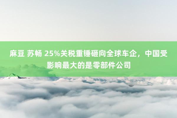 麻豆 苏畅 25%关税重锤砸向全球车企，中国受影响最大的是零